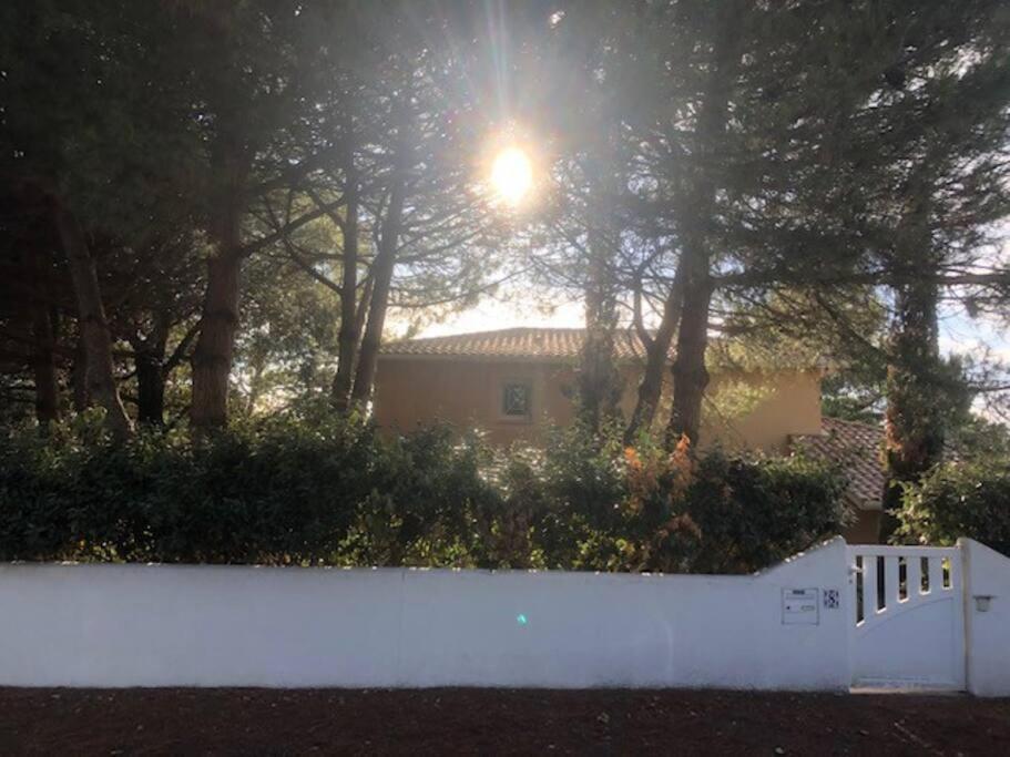 Villa Arethuse - Pyla Sur Mer Екстериор снимка